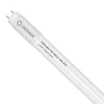 Ledvance LED Buis T8 Value (UN) High Output 24W 2800lm - 865 Daglicht | 150cm - Vervangt 58W
